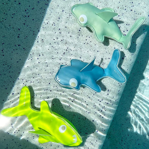 Dive buddies