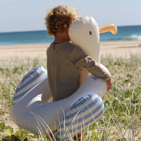 Seagull pool ring