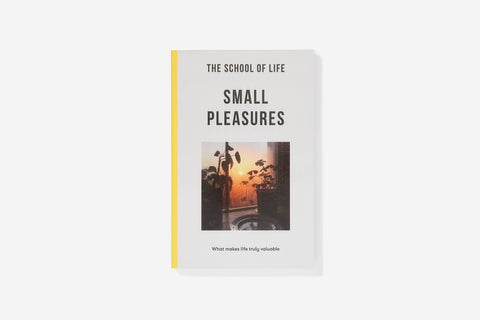 Small Pleasures book